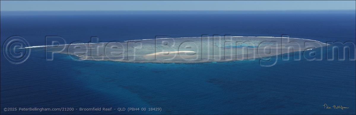 Peter Bellingham Photography Broomfield Reef - QLD (PBH4 00 18429)